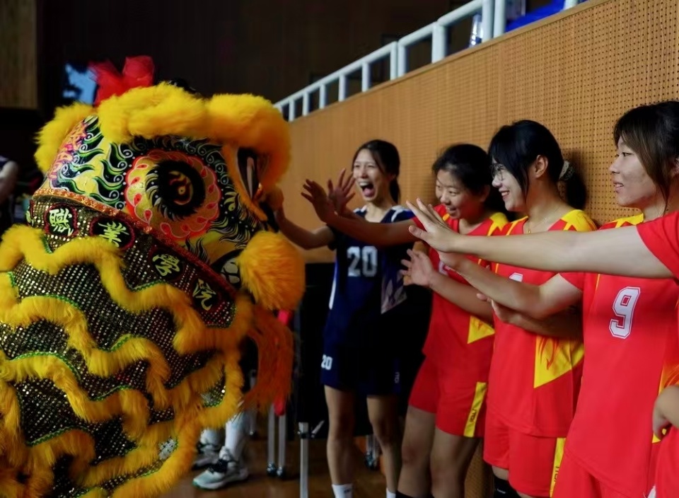 pwZDv, 户端河南频 pwZDv, 户端河南频