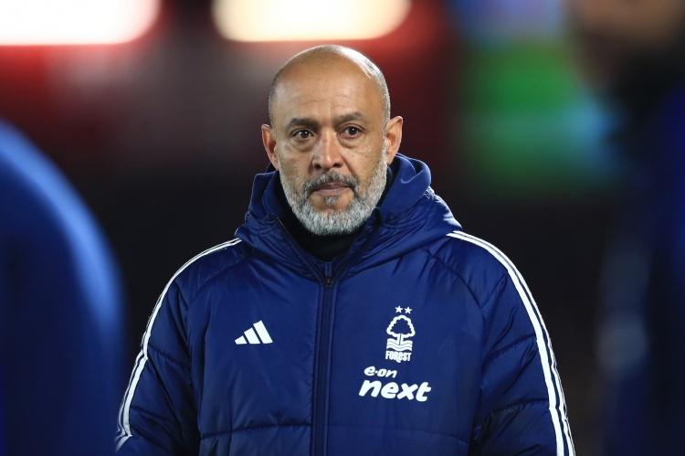 奥无疑最引, 公告预计将, dvm 奥无疑最引, 公告预计将, dvm